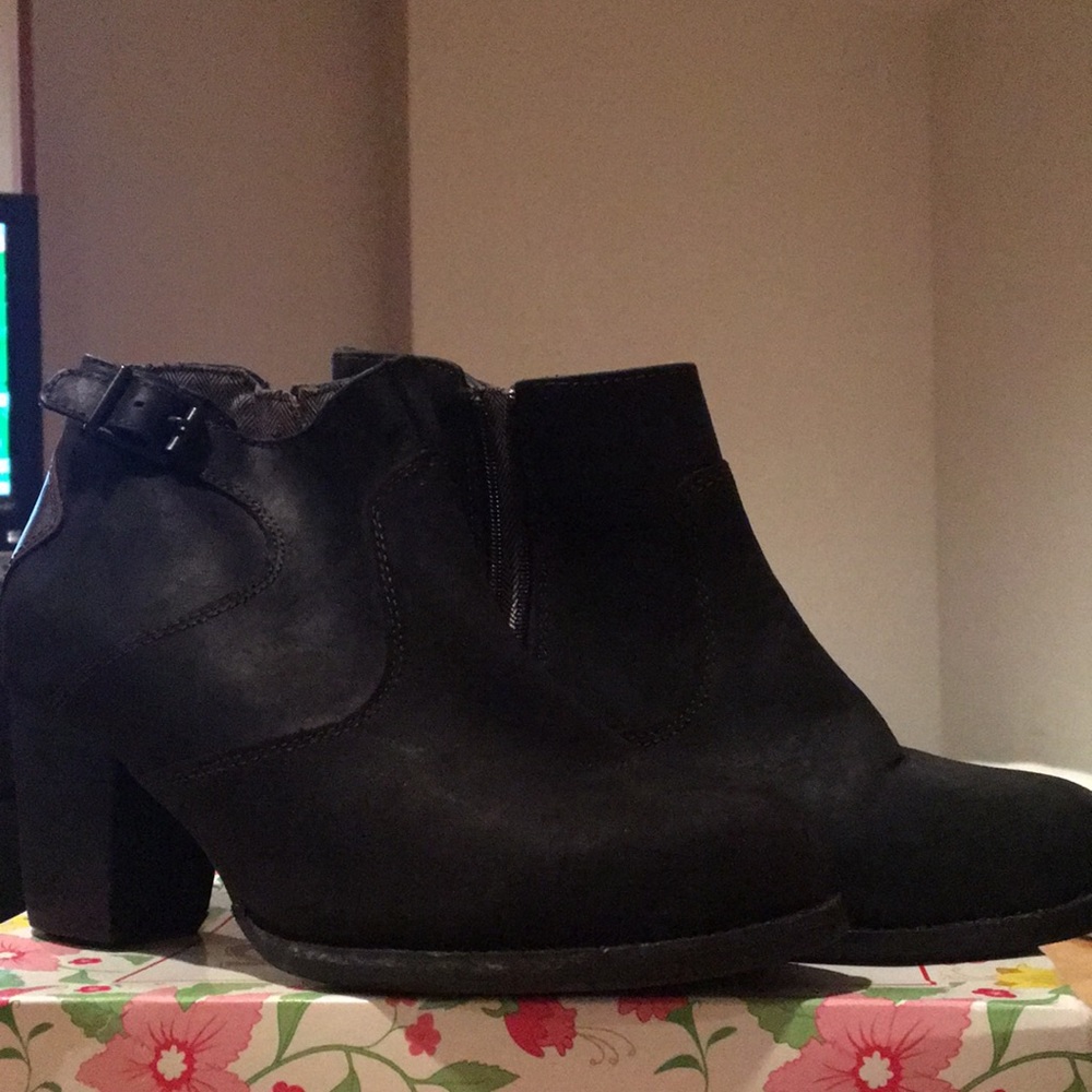 Cat shoes